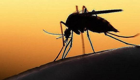 Colombia declara fin de la epidemia del zika