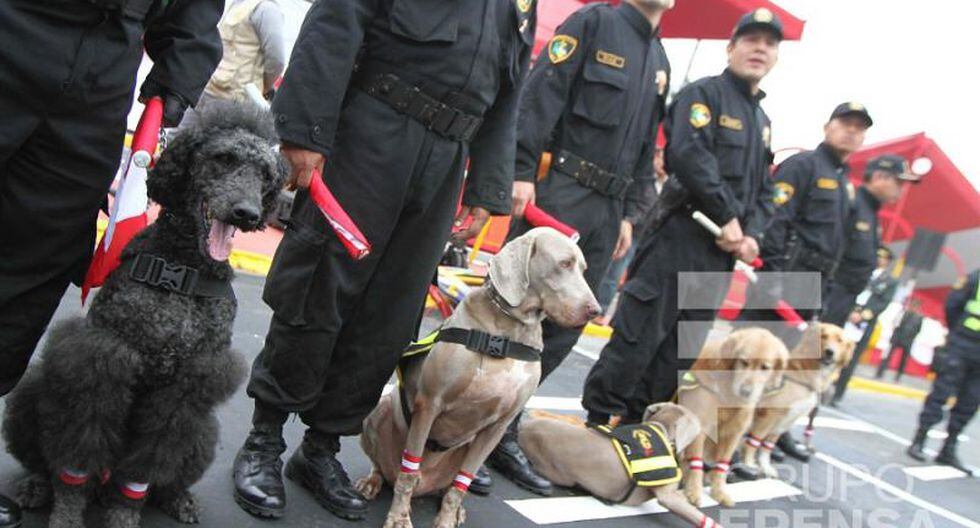 Tendencia Gran Parada Militar Perros policías exhiben sus mejores