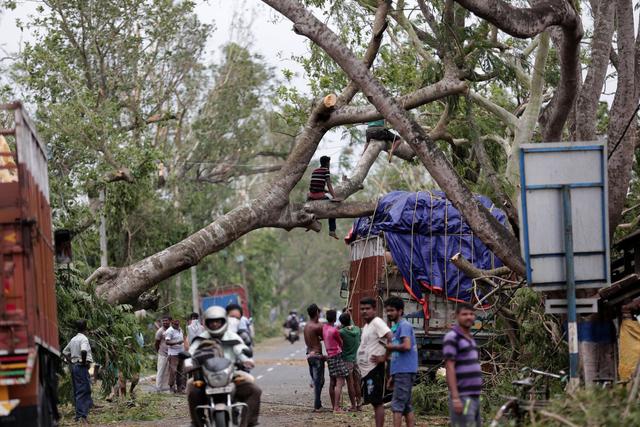 Un árbol desarraigado cayó sobre un camión después de que el ciclón Amphan tocara tierra, en la aldea de Bokkhali cerca de la Bahía de Bengala, India, el 21 de mayo de 2020. (EFE / EPA / PIYAL ADHIKARY)