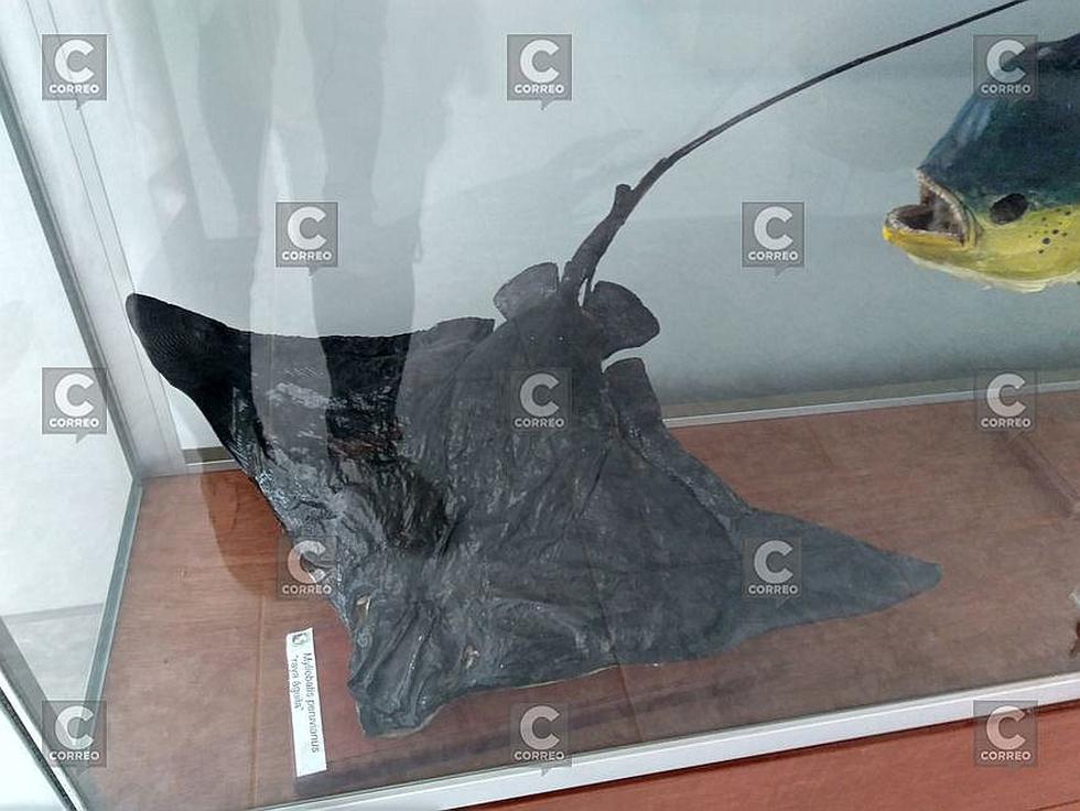 Puertas abiertas en laboratorio de Imarpe en Camaná(FOTOS)