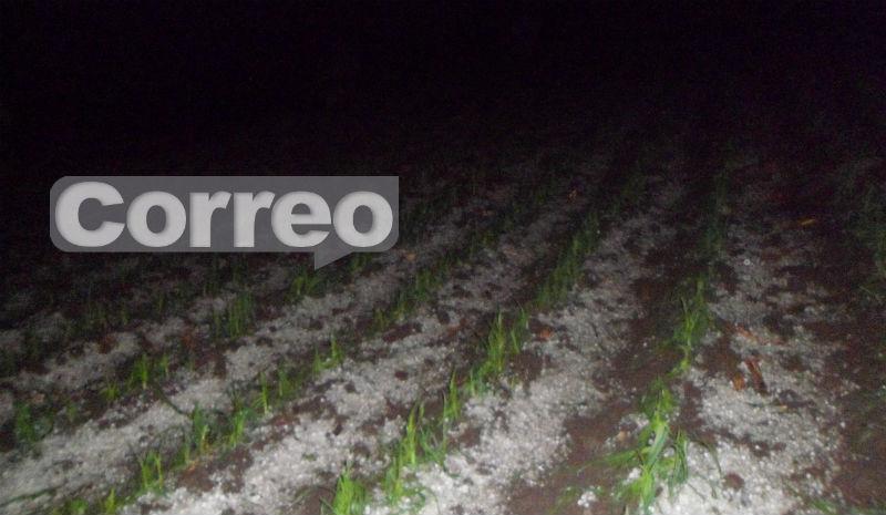 Granizada arrasa con cultivos