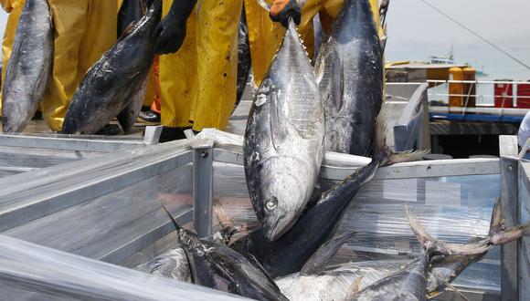 Industria pesquera plantea reducir costo del Programa de Control y Vigilancia. (Foto: GEC)