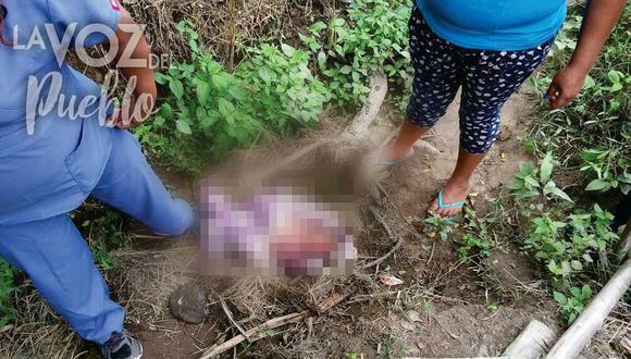 Virú: Bebé recién nacida es encontrada en una chacra 