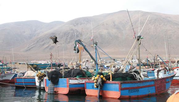 Tacna: especies marinas han desaparecido dentro de las 5 primeras millas 