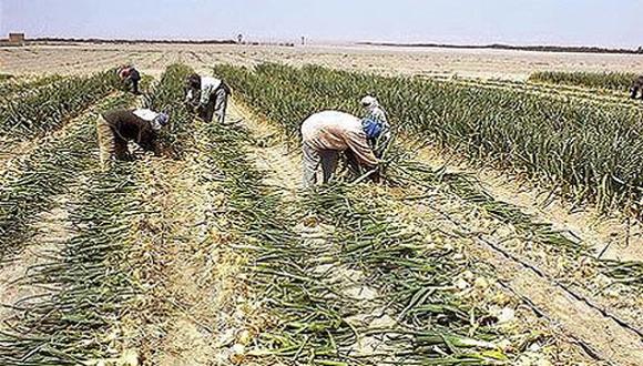 Distritos piden más agua y mejoras en el agro