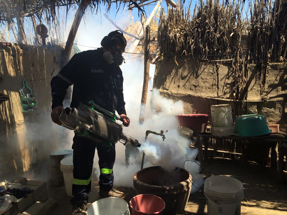 Piura: Hallan vector del dengue en residencial Vicús