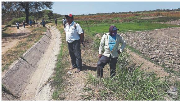 Son más de 5,000 pequeños productores de arroz de los valles San Lorenzo y Chira que temen perder sus plantaciones de este cereal por los constantes cortes de agua. El déficit hídrico que se registra es por la falta de precipitaciones pluviales y el mal manejo del agua.