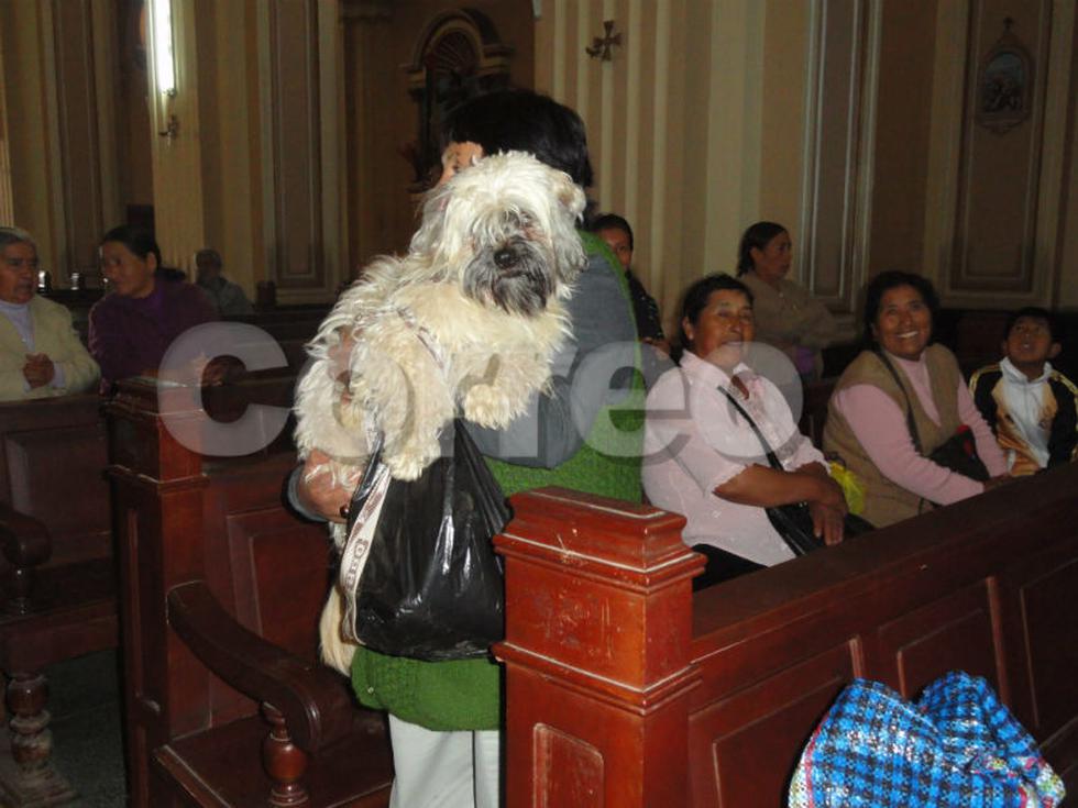 Celebran Día de San Francisco con bendición a animales (FOTOS)