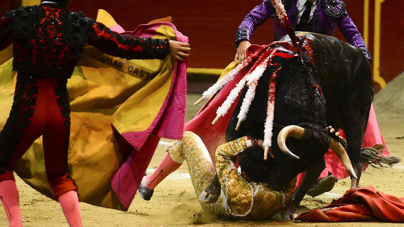 En Colombia buscan acabar con maltrato en corridas de toros