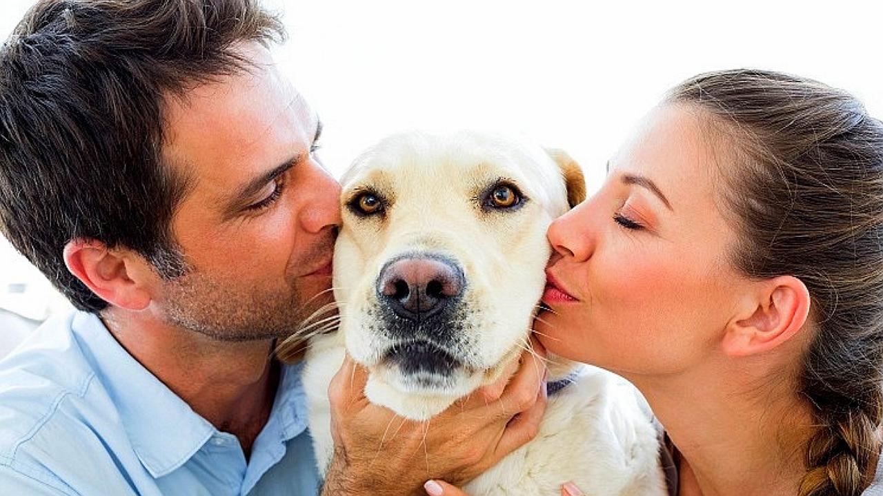 Estudio revela que tu amor por los perros podría ser genético
