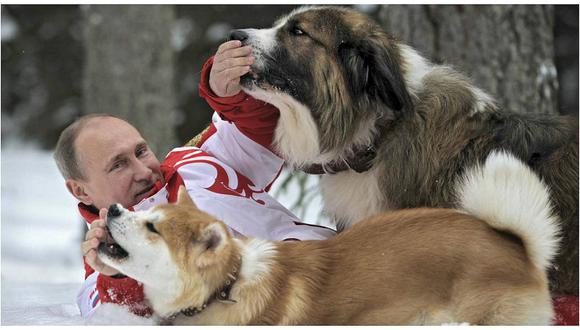 Vladimir Putin pide ley para proteger perros callejeros 