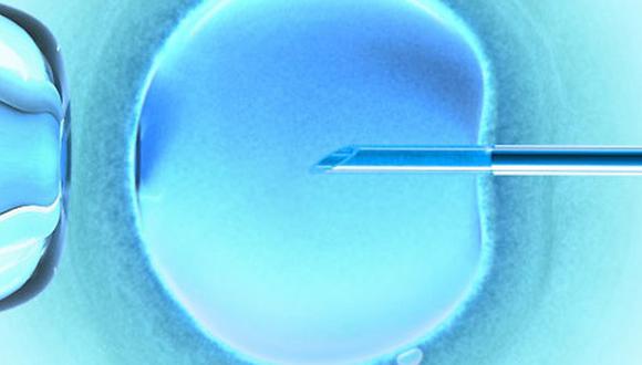 Científicos ensayan con ovocitos humanos técnica ADN de 3 personas
