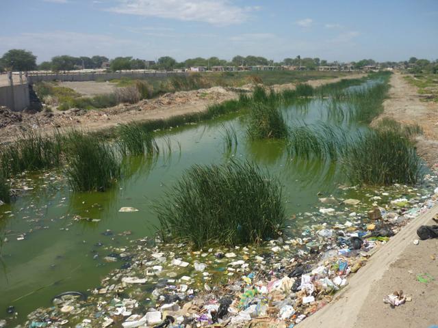 En riesgo la salud de población de Piura por contaminación