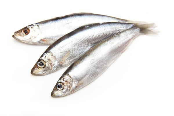 Registran "Lluvia de peces" luego de tornado