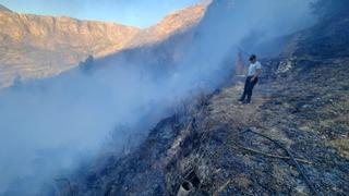 Incendio forestal se reaviva y afecta más de 10 hectáreas de plantas