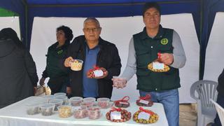 Agricultores podrían triplicar su producción de papa usando semillas mejoradas en Huancavelica