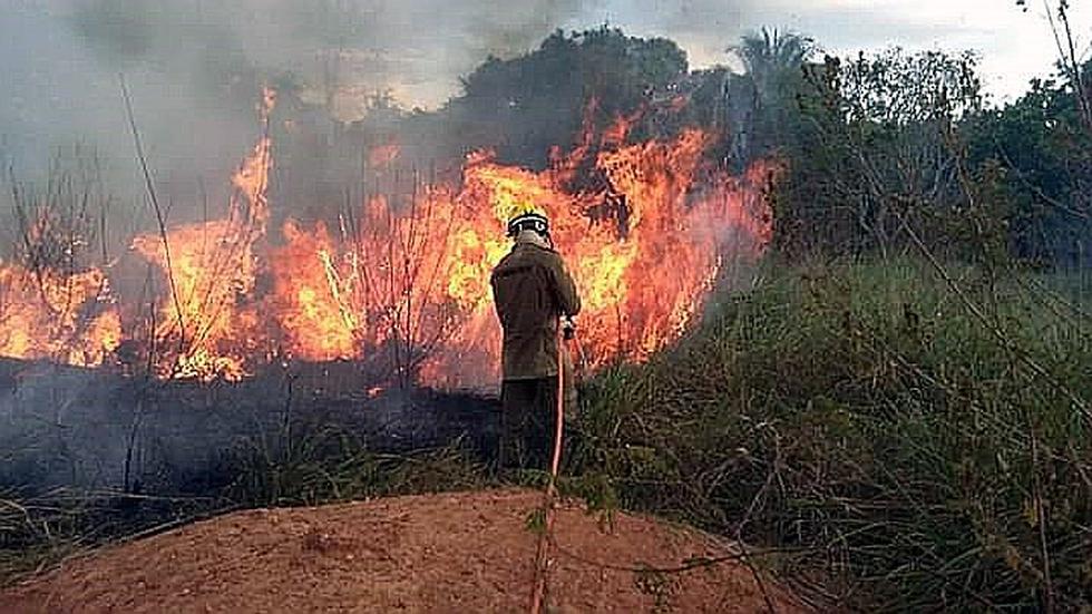 Brasil: Las imágenes más impactantes del devastador incendio en la Amazonía  | MUNDO | CORREO