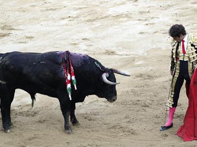 Crueldad de corridas de toros en museos y libros