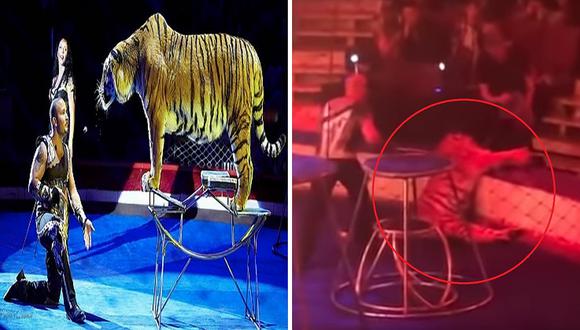Tigre perdió la conciencia y sufrió convulsiones en espectáculo de circo (VIDEO)
