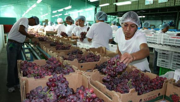 Más de 550 mil puestos de trabajo genera la exportación de alimentos