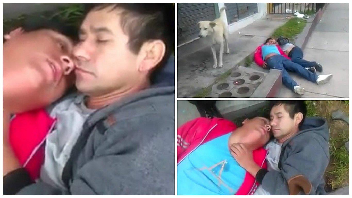 Facebook: perrito y su peculiar actitud cuando se topó con pareja de ebrios dormidos (VIDEO)
