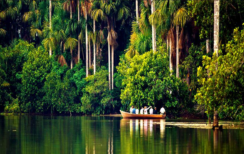 ​La desaparición de bosques inundados amenaza la pesca en Amazonas