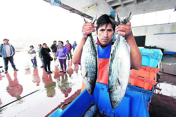 Pescadores rechazan D.S. sobre la veda del bonito