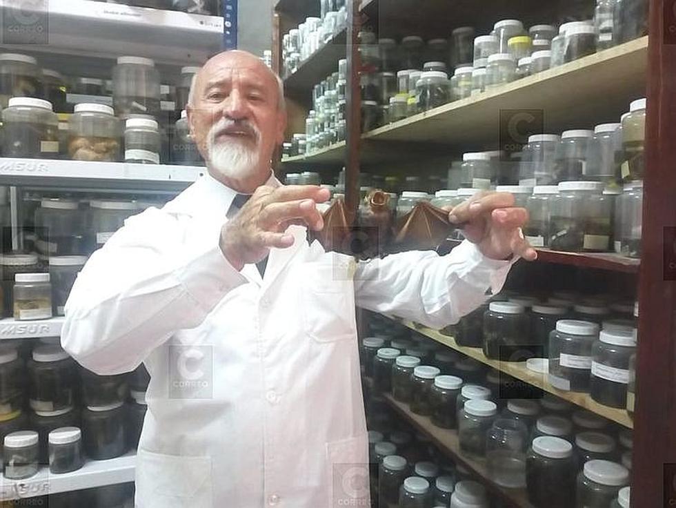 Mil 300 especímenes en el Museo de Historia Natural (FOTOS)