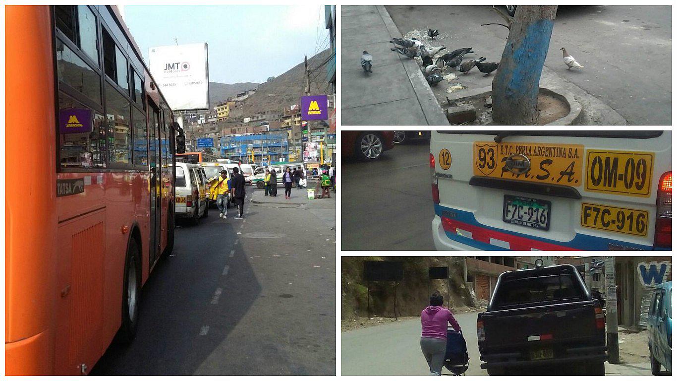 San Martín de Porres: Combis invaden vía del Metropolitano para captar pasajeros