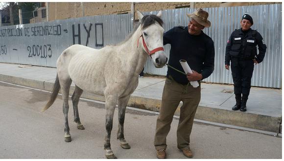 Huancayo: Hombre encuentra  a su caballo perdido y esta es su emotiva reacción (VIDEO)