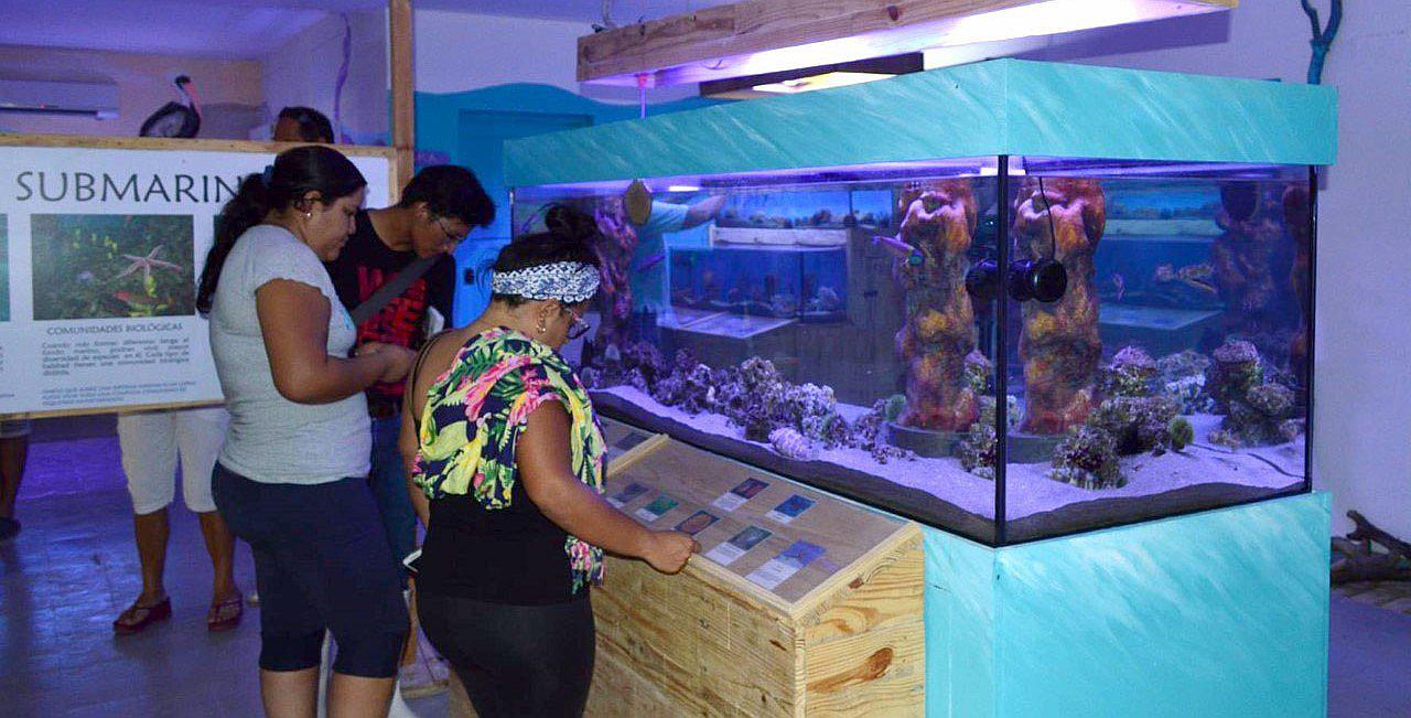 Piura: Inauguran Acuario de Conservación Marina en Los Órganos