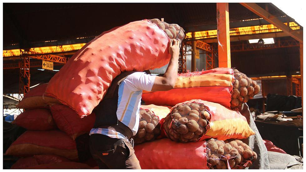 ​Ejemplares padres celebraron su día trabajando por su familia (FOTOS)