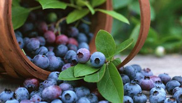 Exportación no tradicional de frutas y frutos comestibles en crecimiento