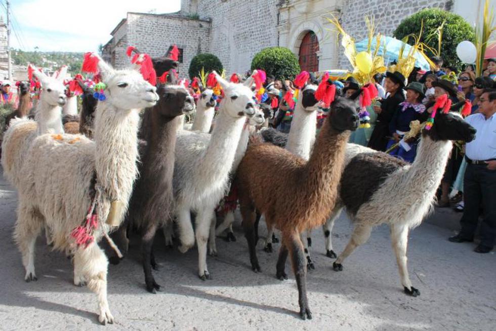 Ayacucho inicia celebraciones por Semana Santa (FOTOS)