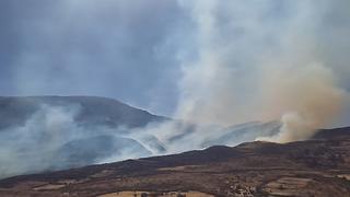 Piden declarar Ayacucho en emergencia por casos de incendio forestales