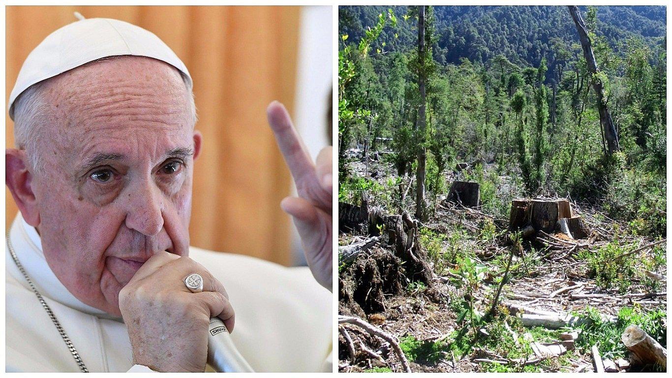 Papa Francisco urge a dar respuestas a destrucción de naturaleza y cambio climático