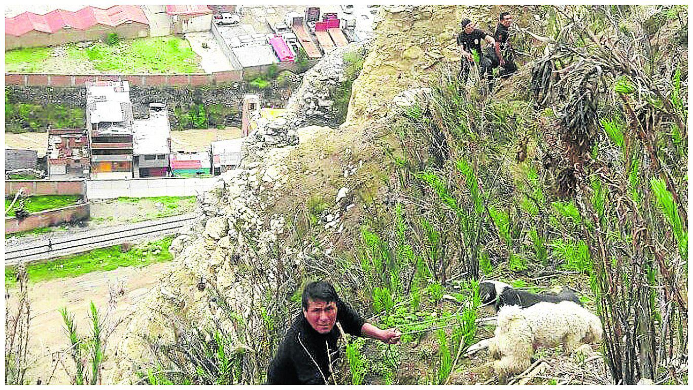 ​Arriesgando sus vidas, policías rescatan a canes en abismo de 300 metros