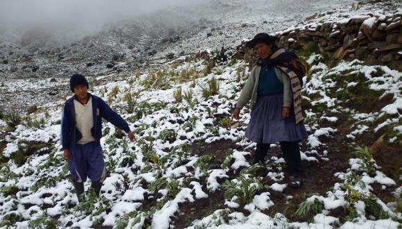 Doce niños fallecen por heladas en región Puno