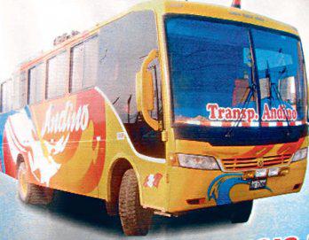 Mujer es acusada de intentar raptar a menor de 13 años