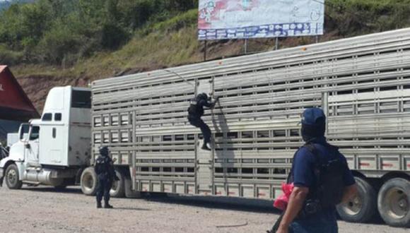 Honduras: Decomisan cerca de 750 kilos de droga