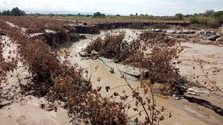 Verifican daños para otorgar bono a agricultores de Ica