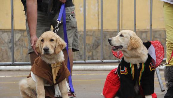 Realizarán concurso de disfraces canino en Surquillo