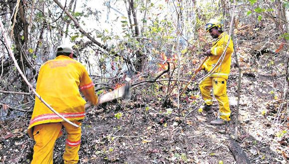 Extinguen incendio forestal en la Reserva Nacional de Tumbes
