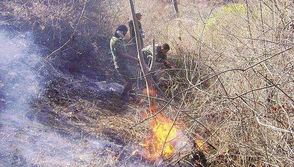 Tumbes: Cien hectáreas de Reserva afectadas por fuego 