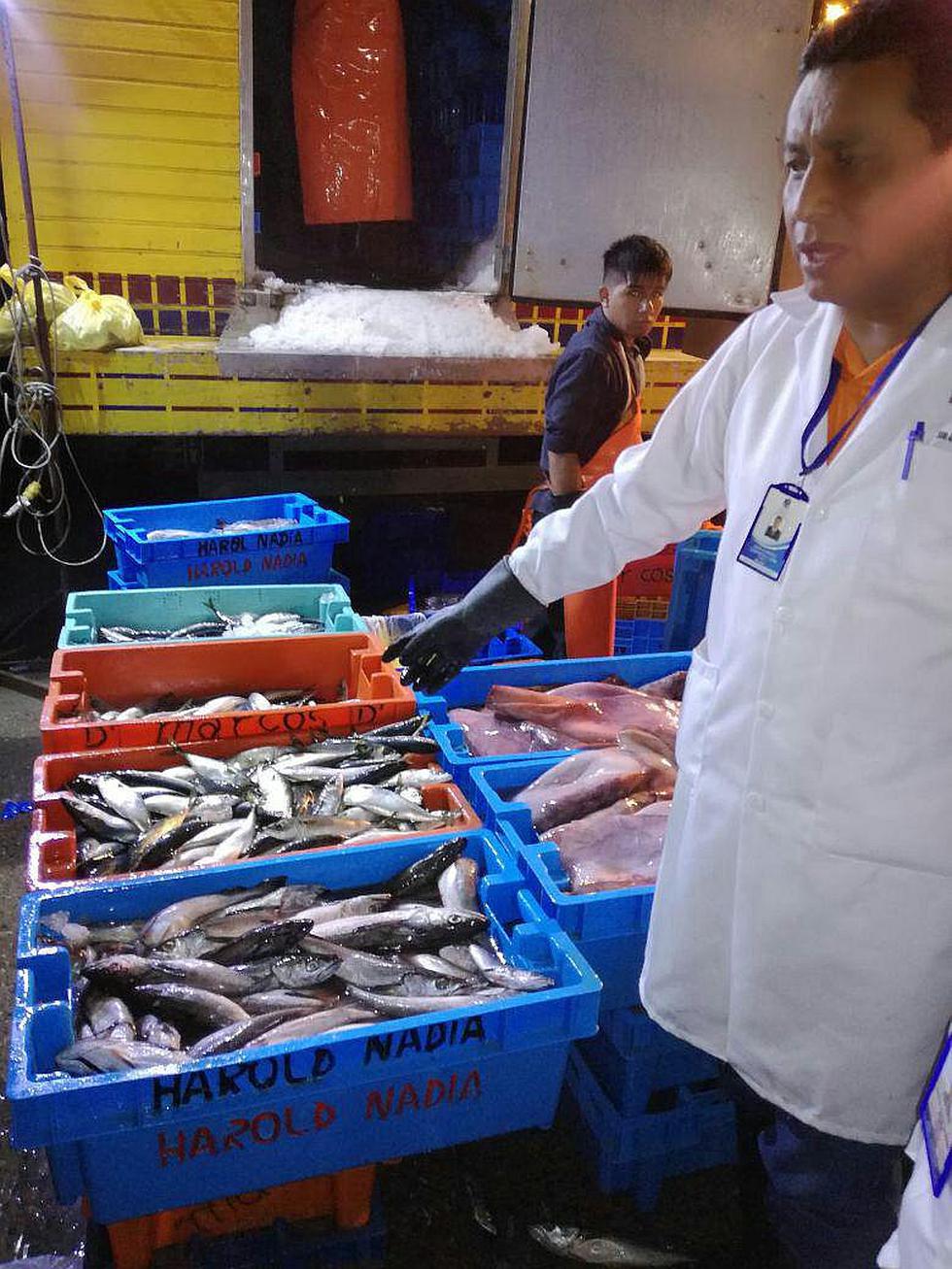 Trujillo: Retiran pescado en mal estado de terminal pesquero 