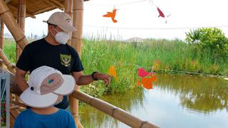 Campamento en los Pantanos de Villa: Fechas, precio y cómo reservar tu ingreso