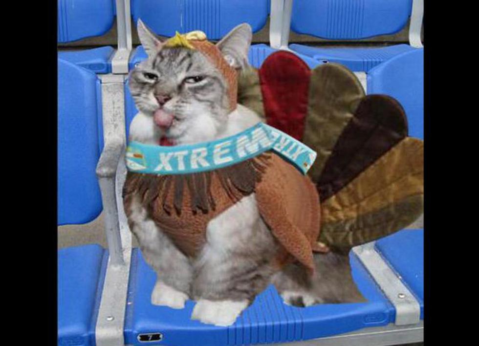 Hinchas de Universitario se burlan de Sporting Cristal tras triunfo 