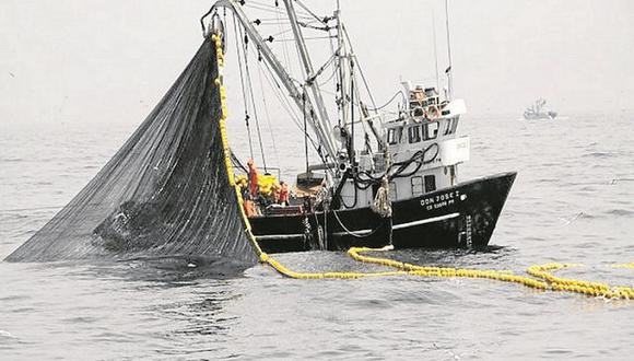 Pesca industrial de anchoveta en el norte se iniciará el 10 de abril