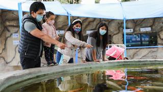 Semana Santa: conoce las actividades que realizará el Parque de Las Leyendas este fin de semana