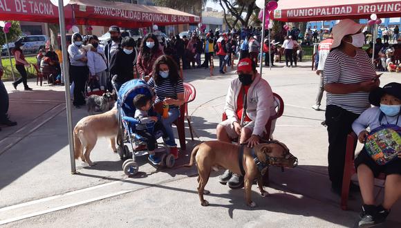 Masiva concurrencia de personas para registras a sus canes en jornada de atención veterinaria que efectuó la MPT en JV Leoncio Prado.